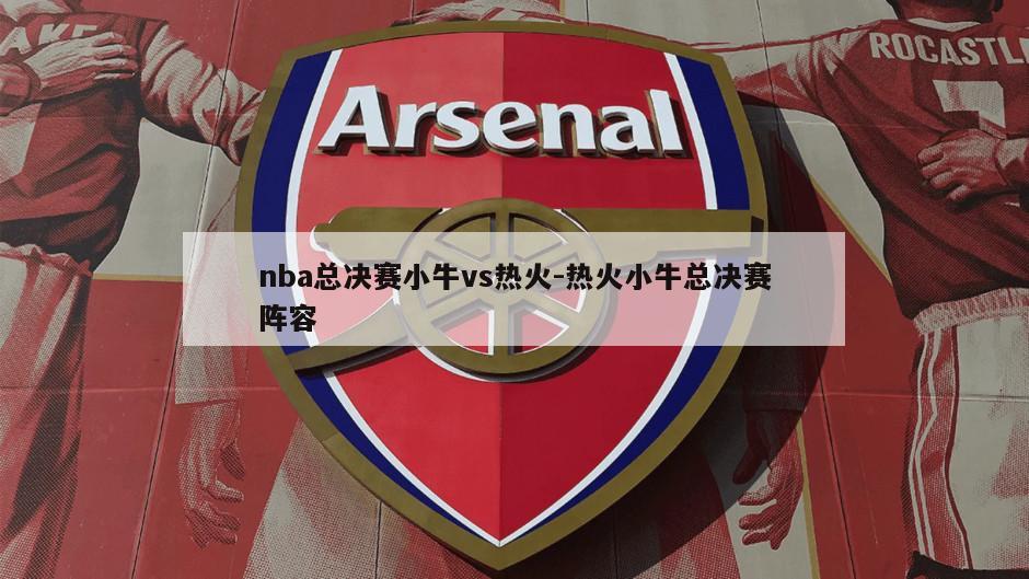 nba总决赛小牛vs热火-热火小牛总决赛阵容